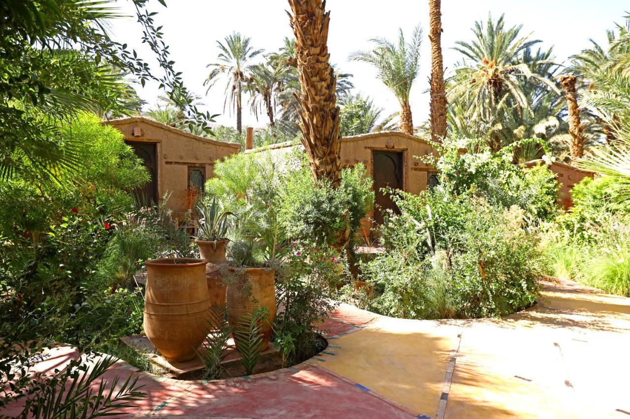 Ecolodge Bab El Oued Maroc Oasis Agdz Ngoại thất bức ảnh