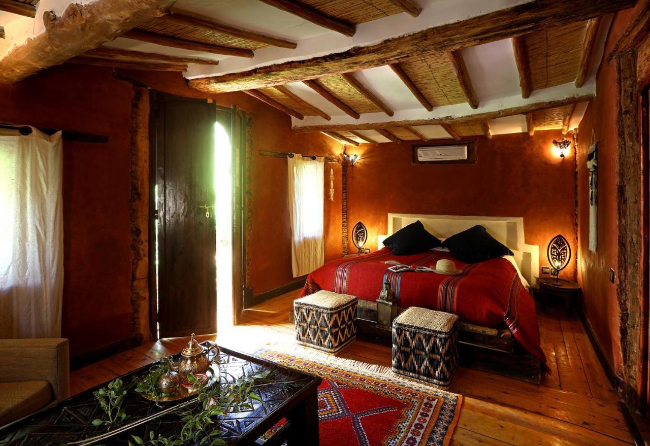 Ecolodge Bab El Oued Maroc Oasis Agdz Ngoại thất bức ảnh
