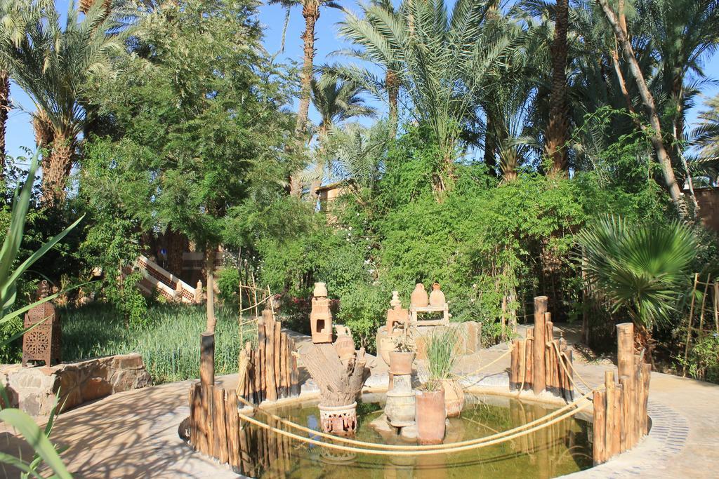 Ecolodge Bab El Oued Maroc Oasis Agdz Ngoại thất bức ảnh