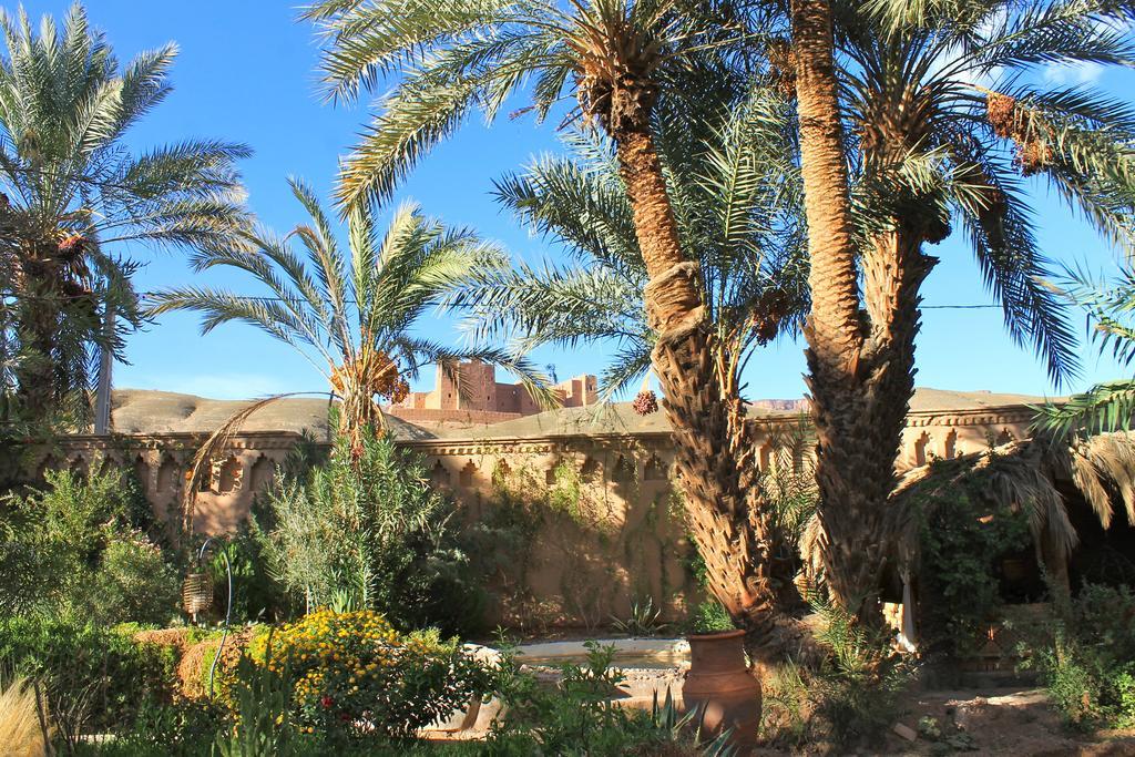Ecolodge Bab El Oued Maroc Oasis Agdz Ngoại thất bức ảnh
