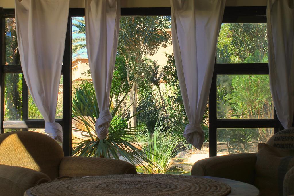 Ecolodge Bab El Oued Maroc Oasis Agdz Ngoại thất bức ảnh