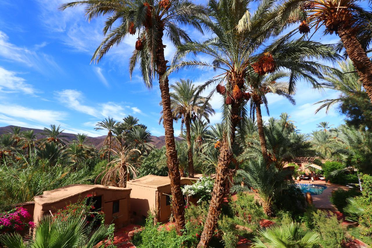 Ecolodge Bab El Oued Maroc Oasis Agdz Ngoại thất bức ảnh