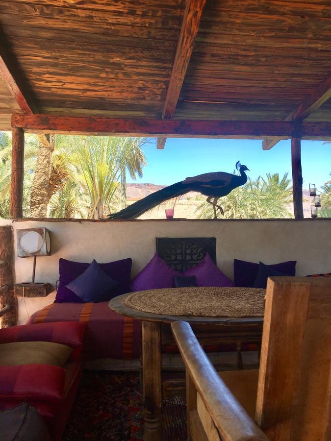 Ecolodge Bab El Oued Maroc Oasis Agdz Ngoại thất bức ảnh